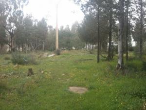 Les plus beaux endroits de Yabous