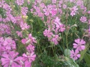 Les plus beaux endroits de Yabous