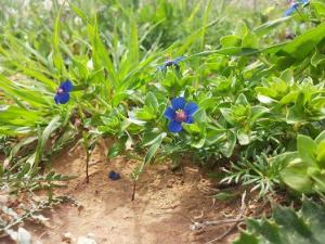 Les plus beaux endroits de Yabous