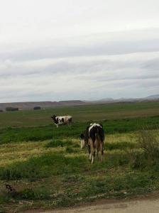 Les plus beaux endroits de Yabous