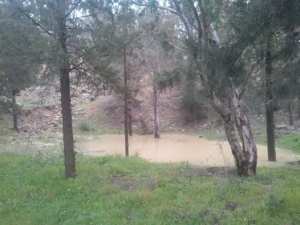 Les plus beaux endroits de Yabous