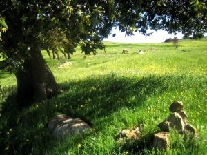 les beaux paysages de bouhmama