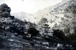 LE MONT CHELIA  Yabous