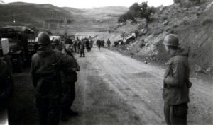 Récupération de bétail dans une zone interdite à Ain Mimoun