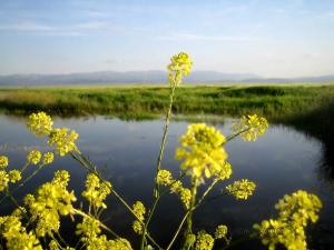 les beaux paysages de Remila Khenchela