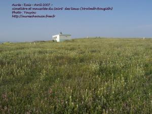 Cimetière Merabet Bouzid de Kais