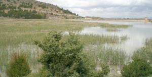 BARRAGE DE FOUM-EL-GUEISS KAIS
