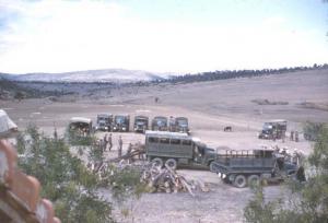 جمع الحطب للتدفئة نظرا لبرودة المنطقة -شليا -