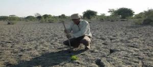 Planète -  Forest Man  : l'homme qui a planté une forêt à mains nues