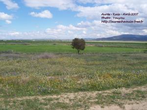 مناظر جميلة خلال الربيع بالرميلة خنشلة