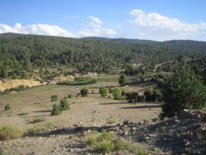 شليا منطقة سياحية باشجارها وانهارها ومناظرها الجميلة