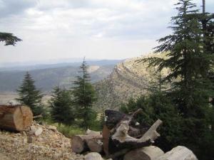 شليا منطقة سياحية باشجارها وانهارها ومناظرها الجميلة