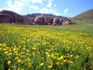 شليا منطقة سياحية باشجارها وانهارها ومناظرها الجميلة