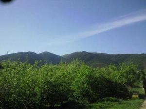 شليا منطقة سياحية باشجارها وانهارها ومناظرها الجميلة