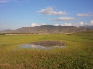 مناظر جميلة ببلدية يابوس ولاية حنشلة