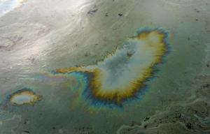 Afrique -  - Pollution pétrolière: le Nigeria et Shell n'ont toujours rien fait, selon Amnesty