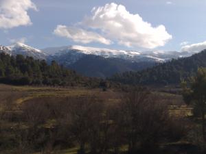 شليا منطقة سياحية باشجارها وانهارها ومناظرها الجميلة