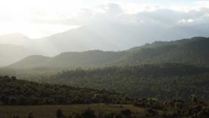 جبل شليا الشامخمة بقمته راس كلثوم 2328 م ببلدية يابوس بوحمامة خنشلة