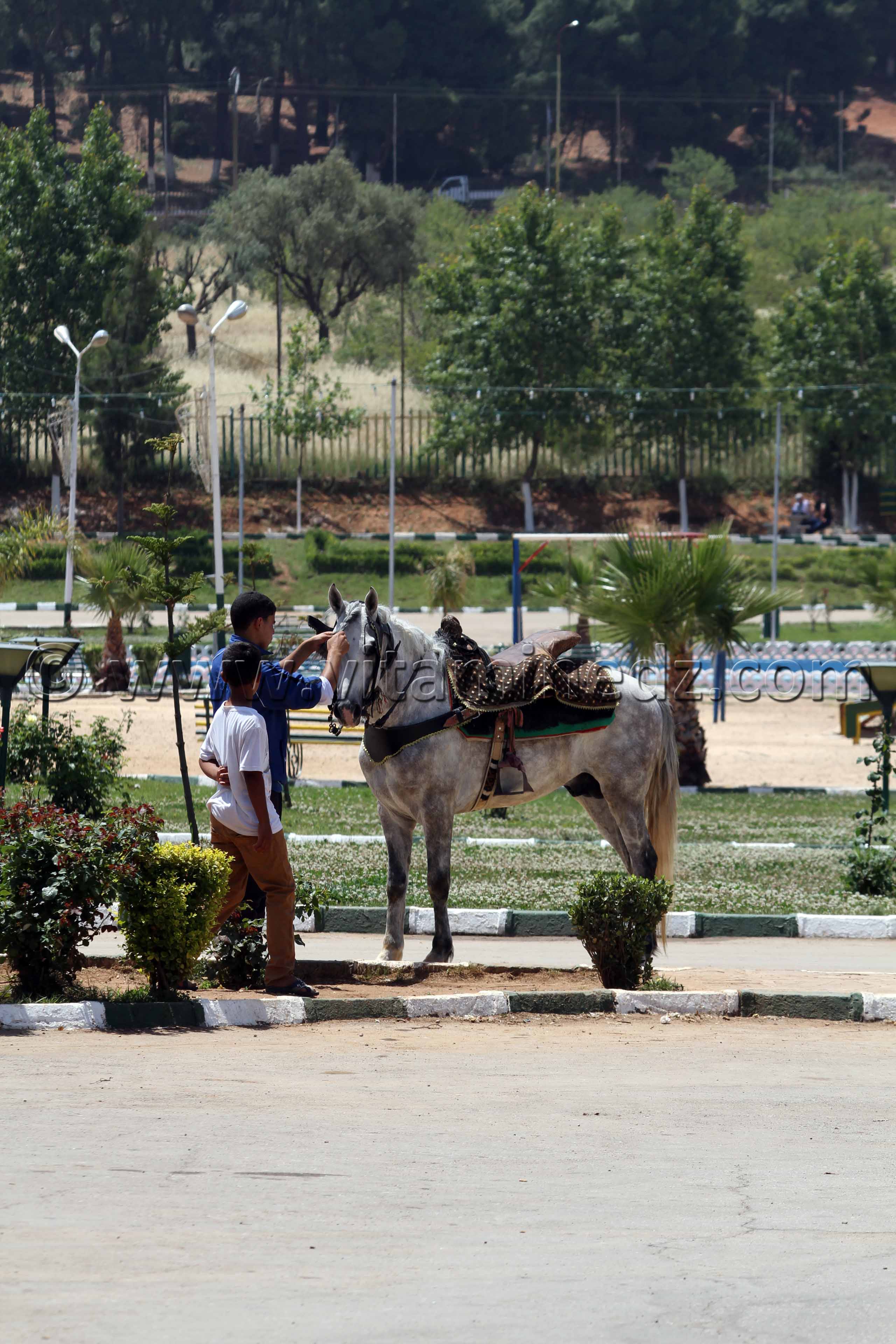 TLEMCEN - PARC D'ATTRACTION  LALLA SETTI