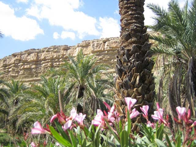 El Ouldja  Khenchela,Algerie,tourisme,nature