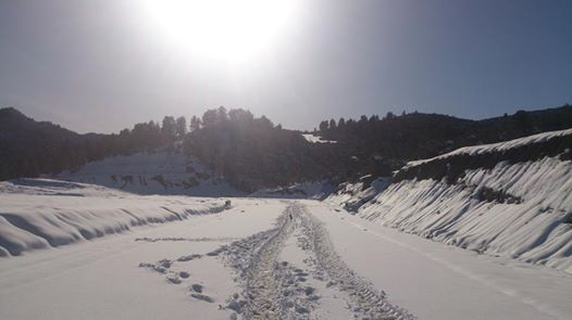 Chélia couverte de neige  Décembre 2013