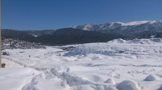 Chélia couverte de neige    Yabous Décembre 2013