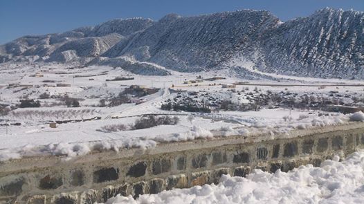 Chélia couverte de neige    Yabous Décembre 2013