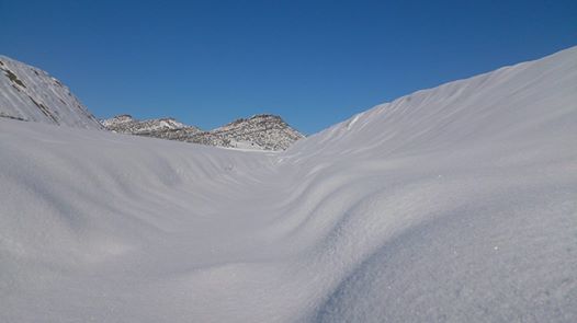 Chélia couverte de neige    Yabous Décembre 2013