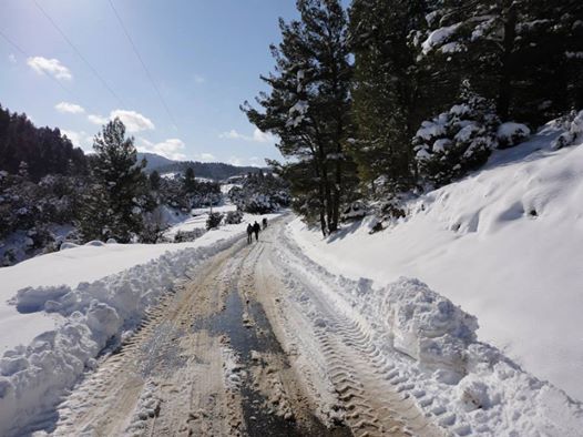 La neige couvre le mont de Chélia Yabous Décembre 2013