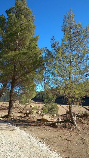 La nouvelle route Yabous Ichmoul  près de Chaabet Khaled