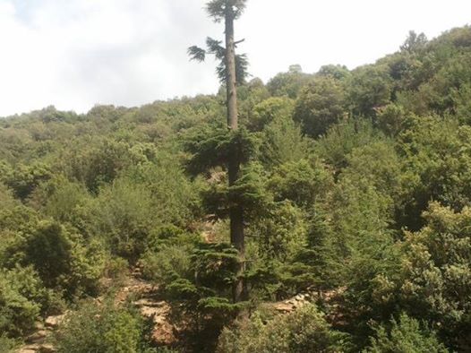 Venez découvrir les plus beaux paysages de Yabous Khenchela