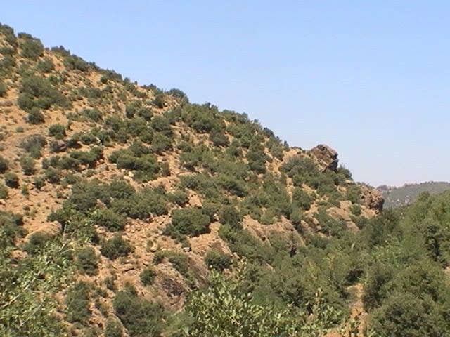 Venez découvrir les plus beaux paysages de Yabous Khenchela