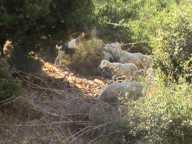 Venez découvrir les plus beaux paysages de Yabous Khenchela