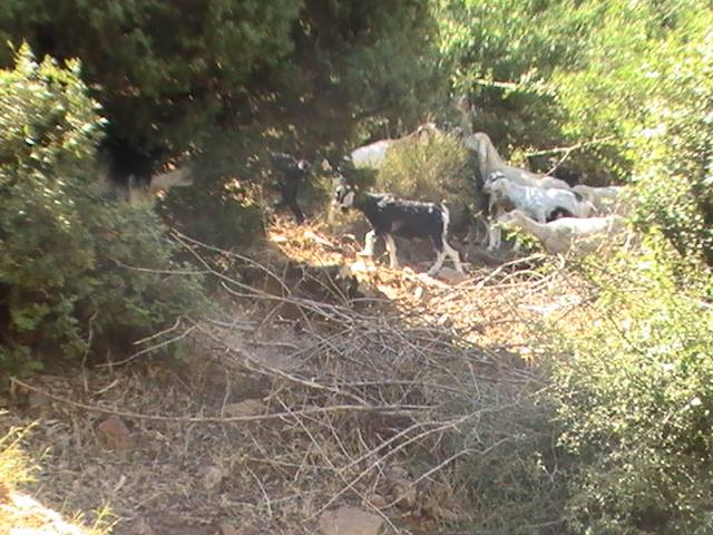 Venez découvrir les plus beaux paysages de Yabous Khenchela
