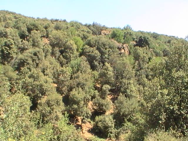 Venez découvrir les plus beaux paysages de Yabous Khenchela