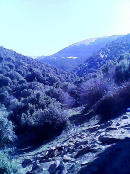 Venez découvrir les plus beaux paysages de Yabous Khenchela