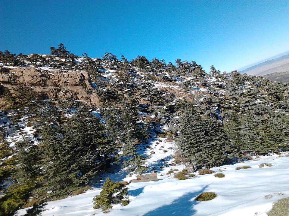 Venez découvrir les plus beaux paysages de Yabous Khenchela