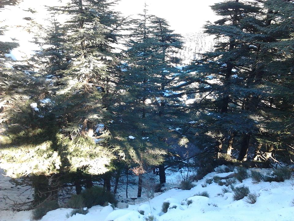 Venez découvrir les plus beaux paysages de Yabous Khenchela