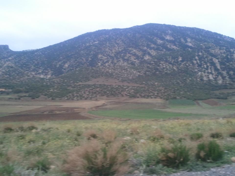 Venez découvrir les plus beaux paysages de Yabous Khenchela