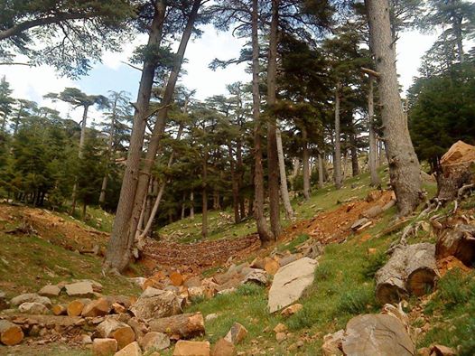 Les plus beaux endroits de Yabous