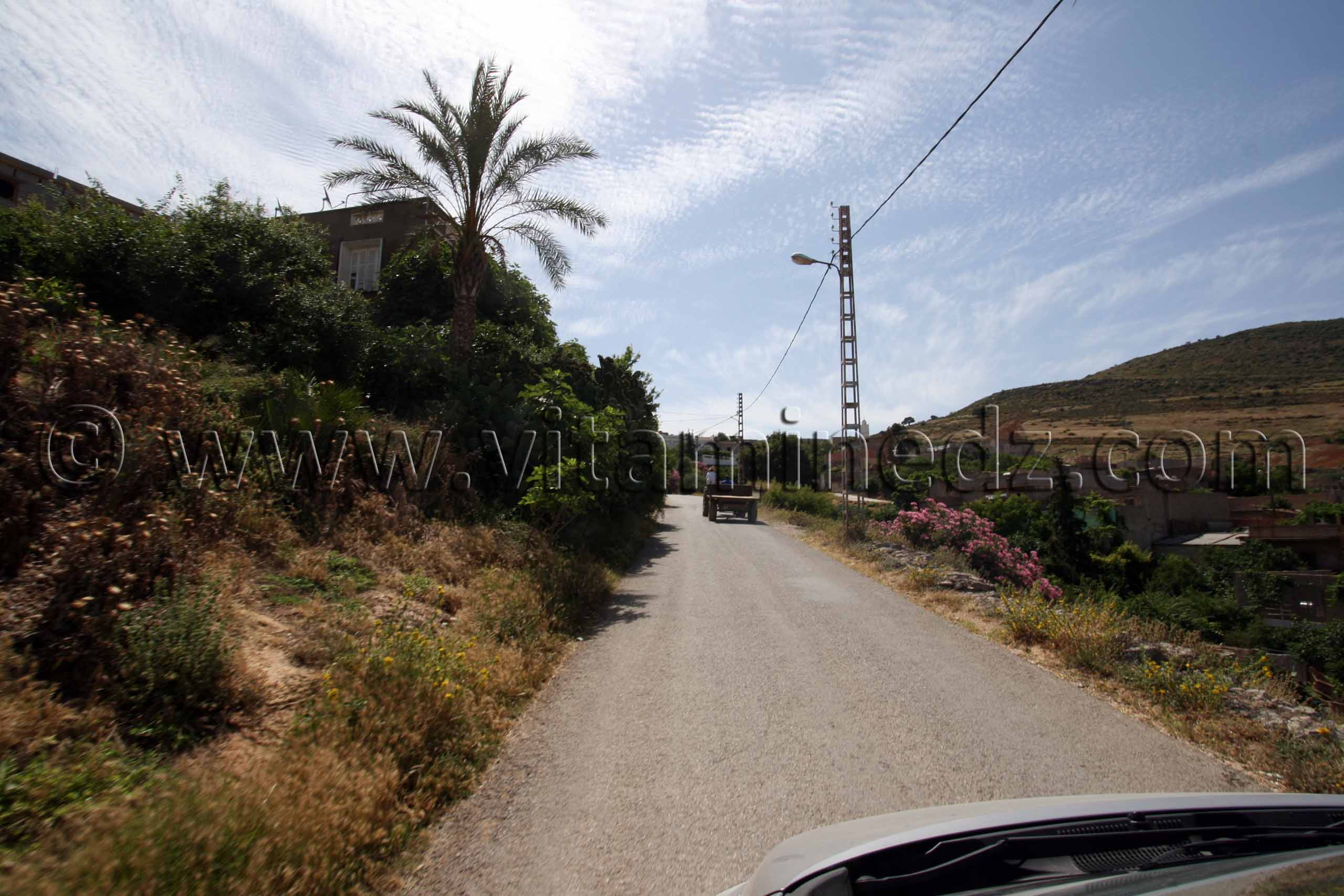 Photo Tlemcen, vers Oum El Oulou