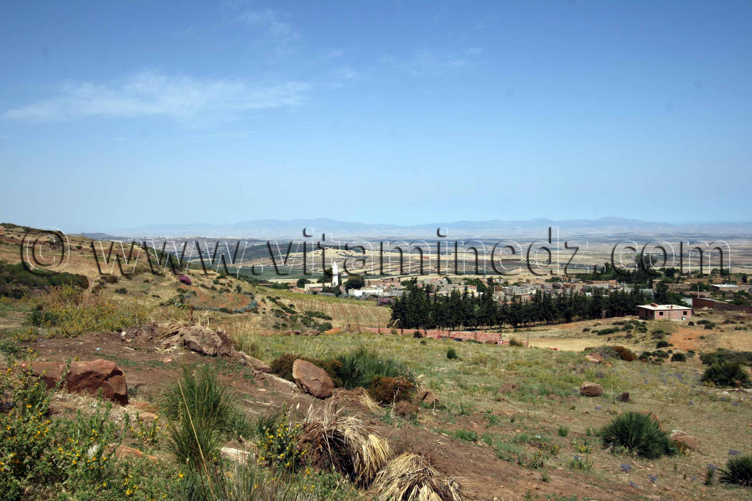 Photo Tlemcen  Oum El 3lou