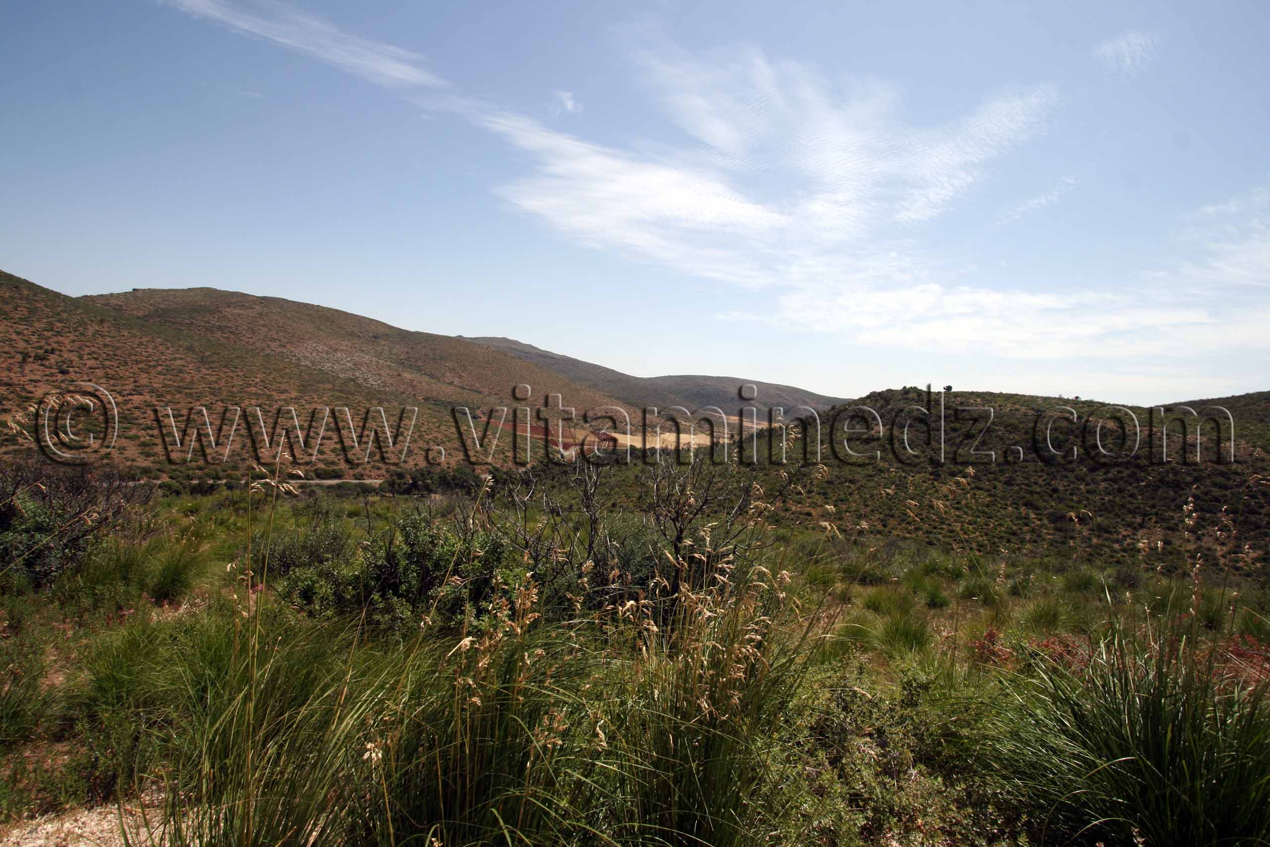Photo Tlemcen  Remlia, route reliant Oum El 3lou à Ouchba