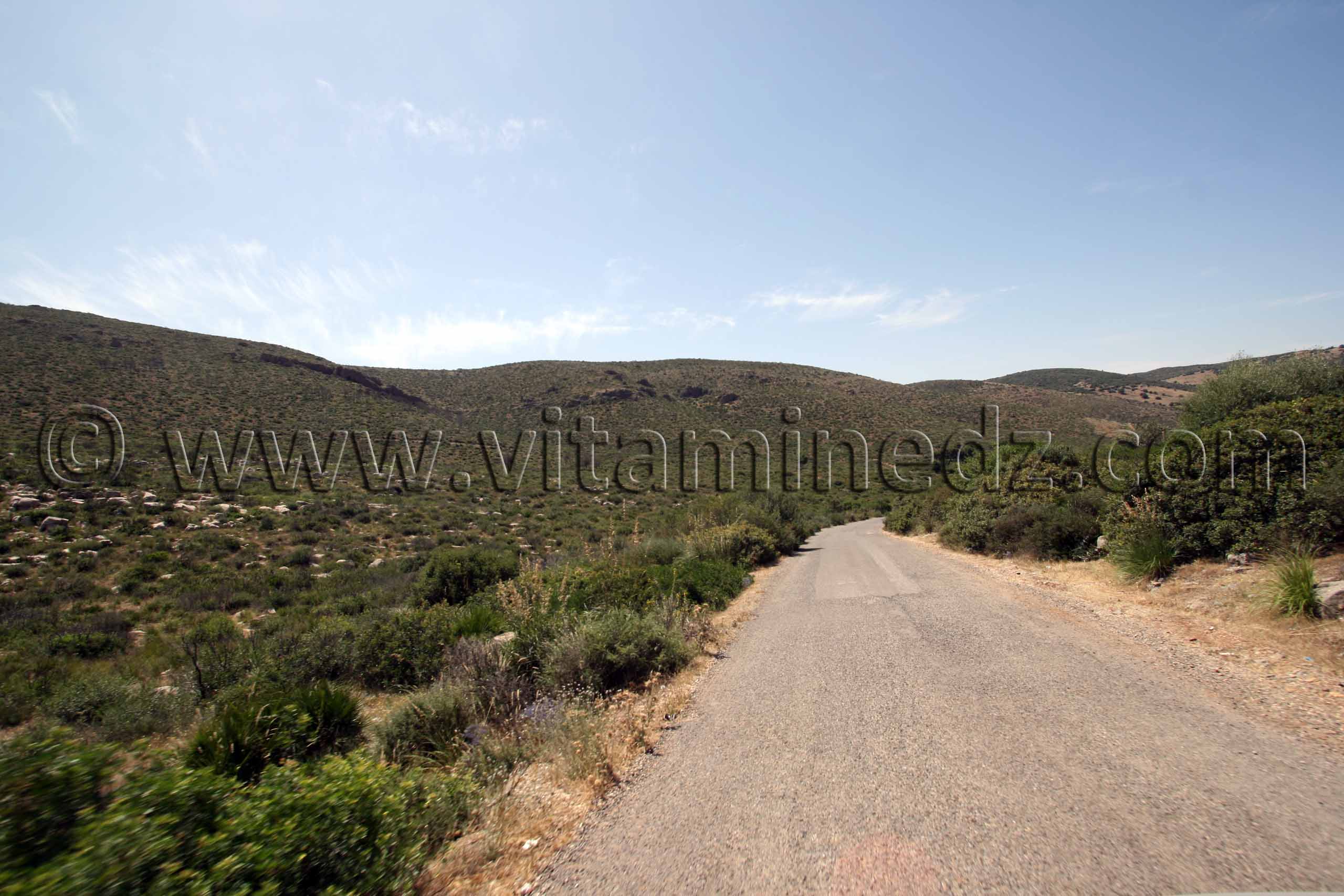 Photo Tlemcen  Route Oum El 3lou vers 3ouchba