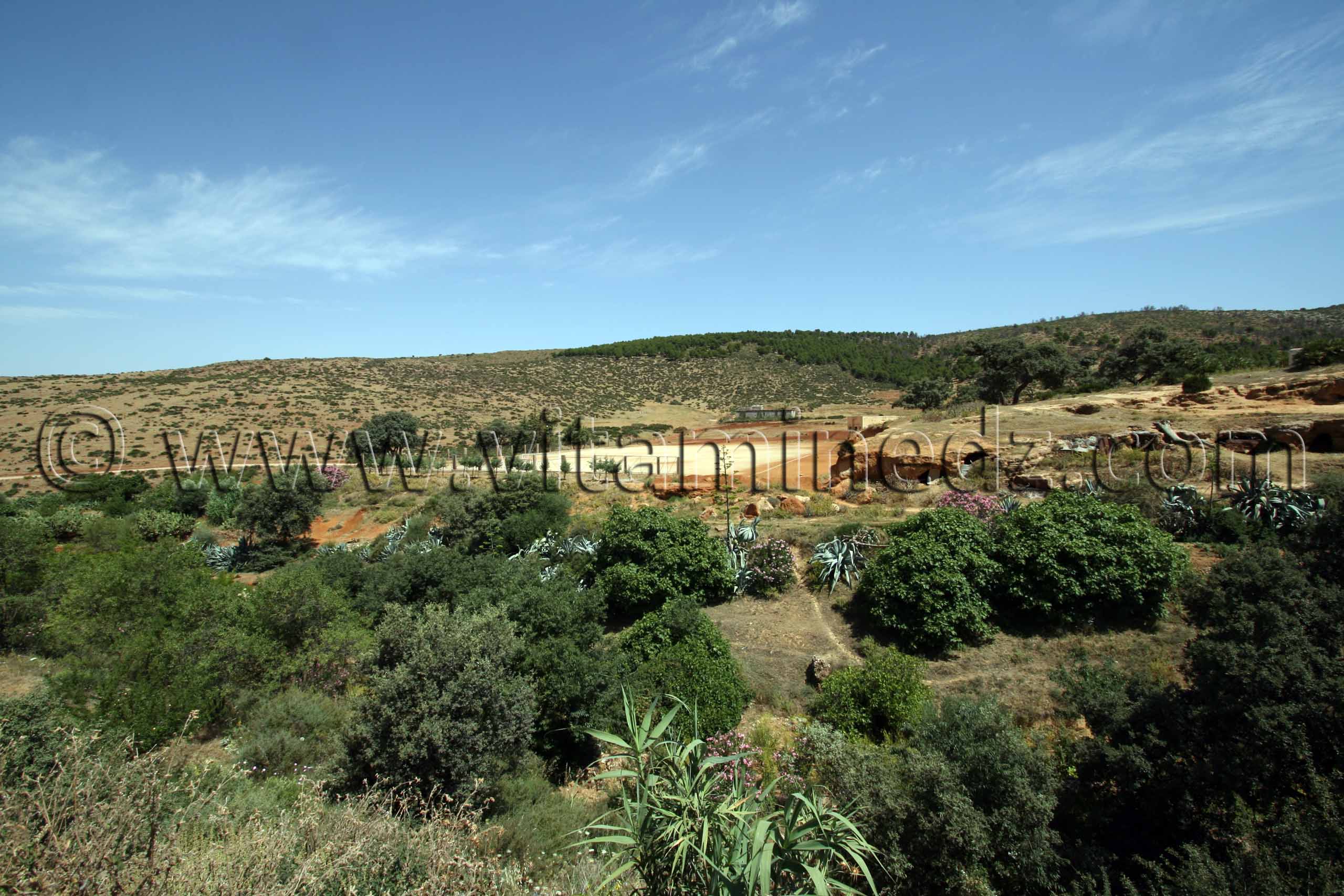 Photo Tlemcen  Ouchba