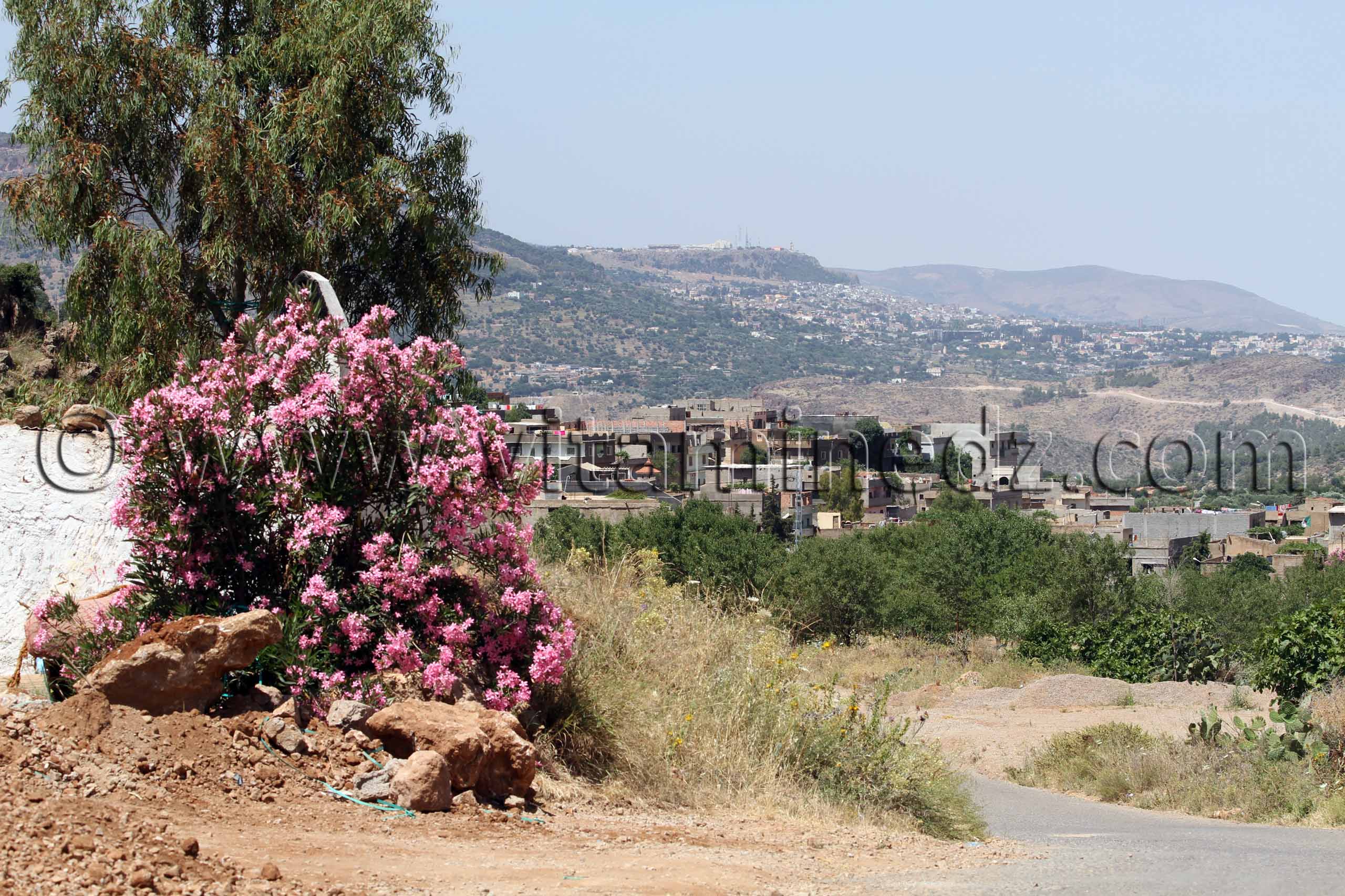 Photo Ouchba, un grand douar