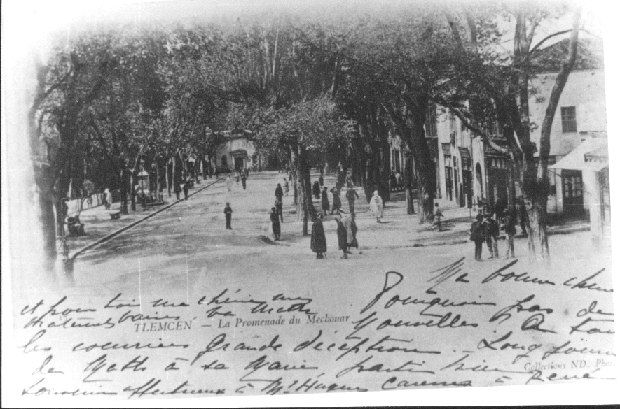 Photo Ancienne de Tlemcen  Rue de France (promenade du Mechouar)