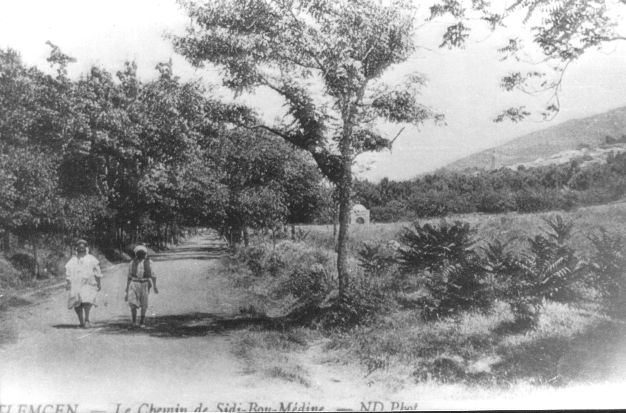 Photo Ancienne de Tlemcen  Le chemin de Sidi Boumediene