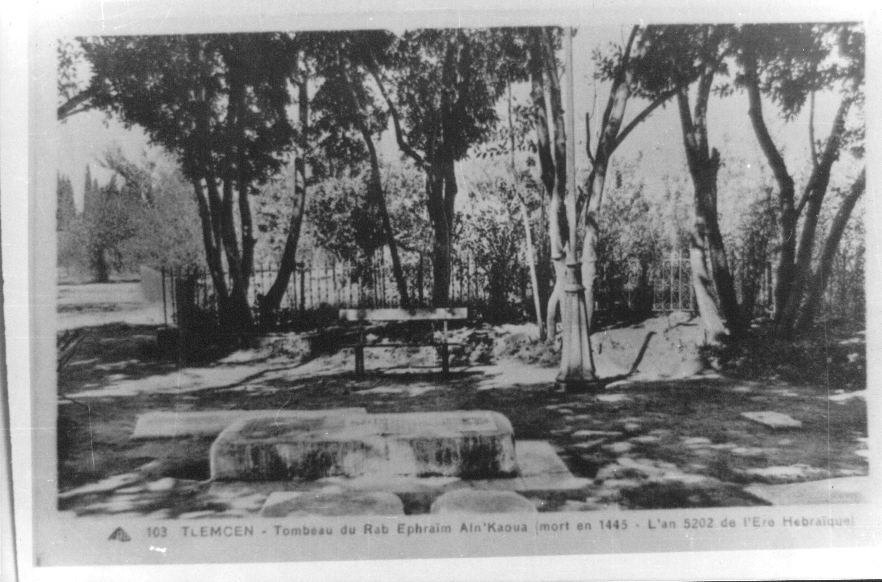 Photo Ancienne de Tlemcen  Tombeau du Rabb mort en 1445