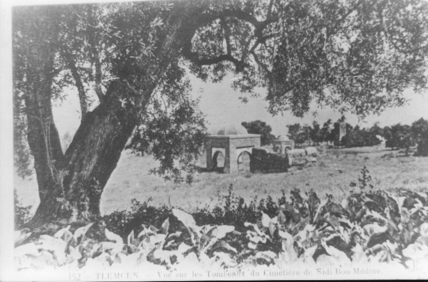 Photo Ancienne de Tlemcen  vue sur les tombeaux de sidi boumediene